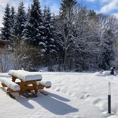 La Cabane Des Ecureuils Xonrupt-Longemer Kültér fotó